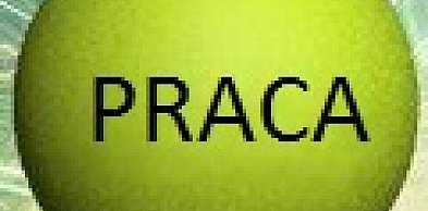 Zagraniczny trener nawiąże współpracę