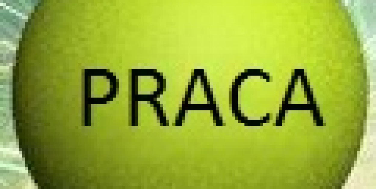 Zagraniczny trener nawiąże współpracę